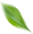 address_leaf