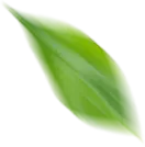 open_hours_leaf