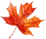 right_maple_leaf