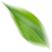 take_out_leaf